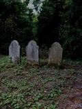 image of grave number 199818